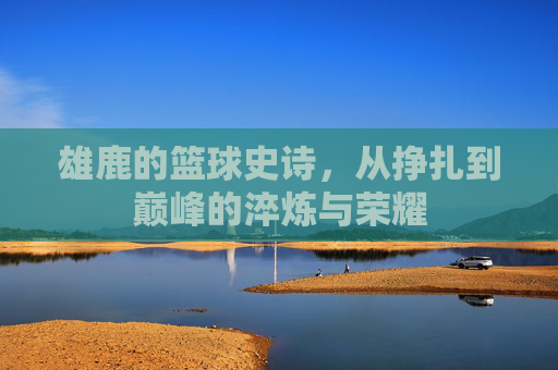 雄鹿的篮球史诗，从挣扎到巅峰的淬炼与荣耀