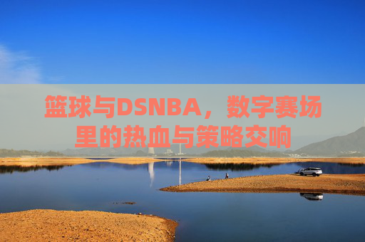篮球与DSNBA，数字赛场里的热血与策略交响
