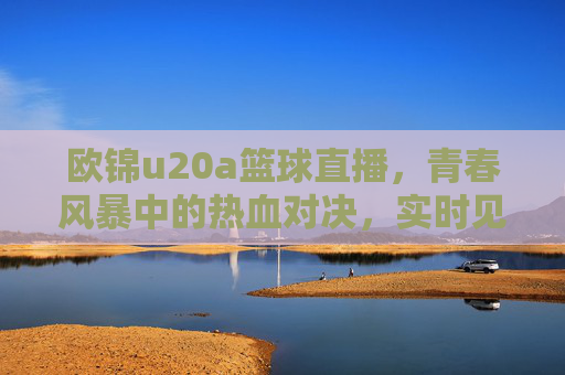 欧锦u20a篮球直播，青春风暴中的热血对决，实时见证未来之星的闪耀