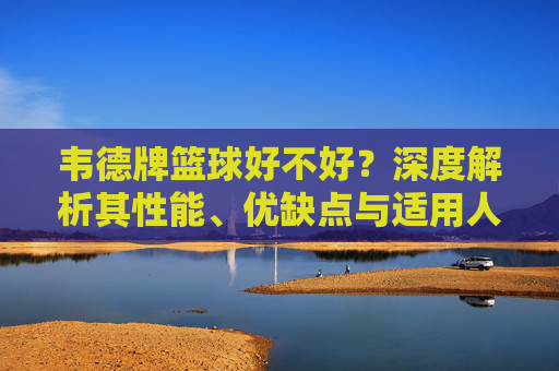 韦德牌篮球好不好?深度解析其性能、优缺点与适用人群