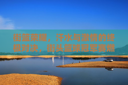 街篮荣耀，汗水与激情的终极对决，街头篮球冠军赛燃爆全场