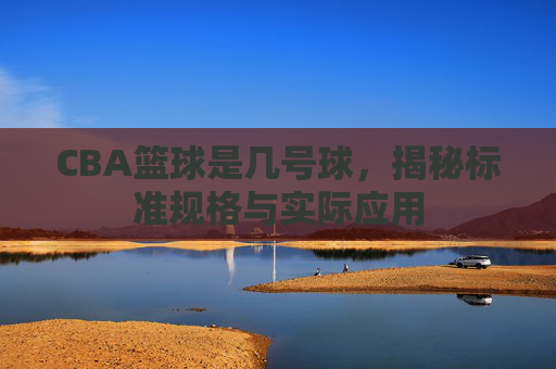 CBA篮球是几号球,揭秘标准规格与实际应用
