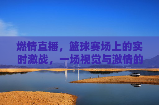 燃情直播，篮球赛场上的实时激战，一场视觉与激情的盛宴