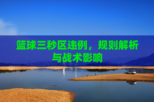 篮球三秒区违例,规则解析与战术影响