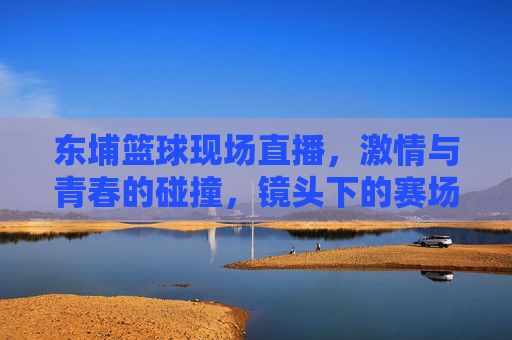 东埔篮球现场直播,激情与青春的碰撞,镜头下的赛场热血