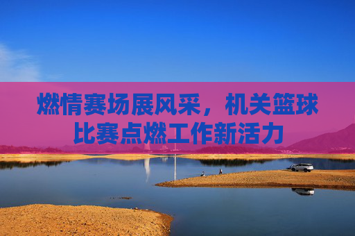 燃情赛场展风采，机关篮球比赛点燃工作新活力