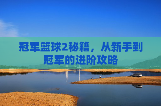 冠军篮球2秘籍，从新手到冠军的进阶攻略