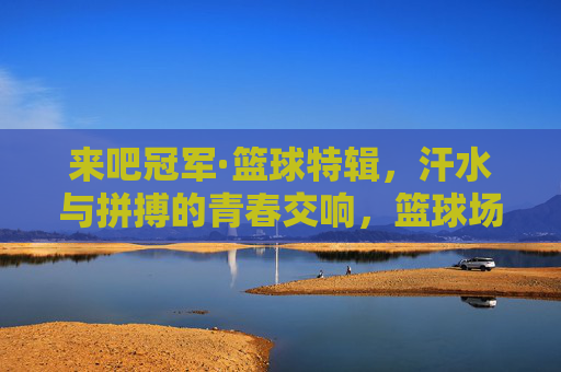 来吧冠军·篮球特辑,汗水与拼搏的青春交响,篮球场上的热血逐梦,来吧冠军·篮球特辑,青春热血逐梦的拼搏交响