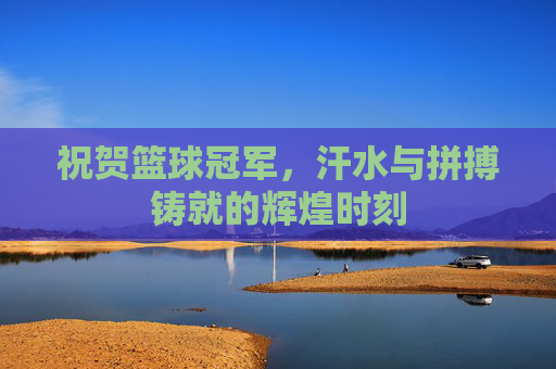 祝贺篮球冠军,汗水与拼搏铸就的辉煌时刻