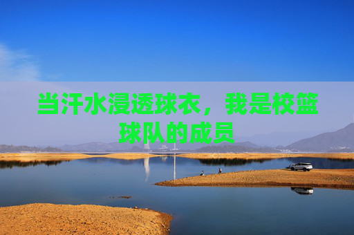 当汗水浸透球衣,我是校篮球队的成员