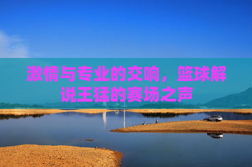 激情与专业的交响,篮球解说王猛的赛场之声