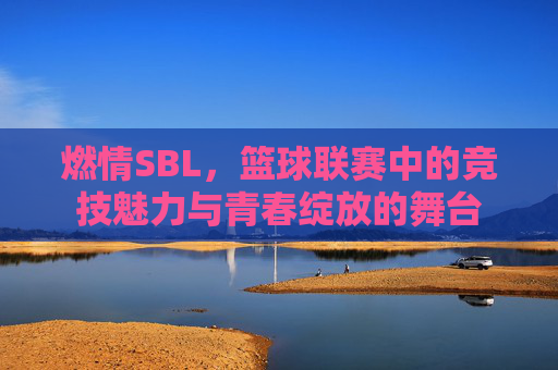 燃情SBL，篮球联赛中的竞技魅力与青春绽放的舞台