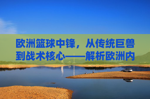 欧洲篮球中锋，从传统巨兽到战术核心——解析欧洲内线球员的多元魅力与时代变迁