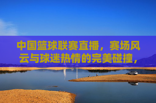 中国篮球联赛直播，赛场风云与球迷热情的完美碰撞，共赴篮球狂欢，中国篮球联赛直播，赛场风云激荡，球迷热情共赴篮球狂欢