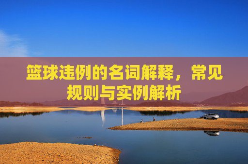 篮球违例的名词解释,常见规则与实例解析