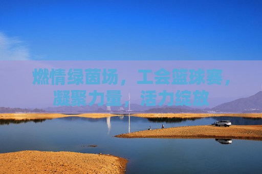燃情绿茵场，工会篮球赛，凝聚力量，活力绽放