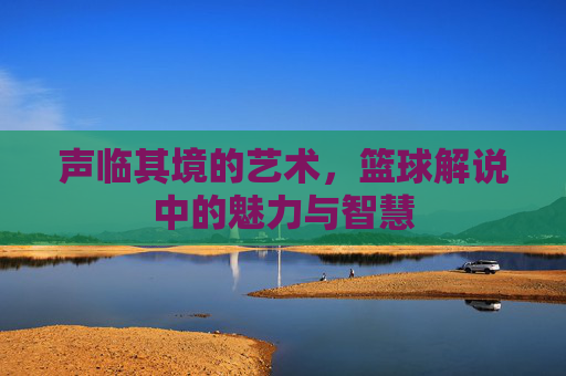 声临其境的艺术,篮球解说中的魅力与智慧