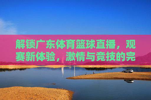 解锁广东体育篮球直播,观赛新体验,激情与竞技的完美融合