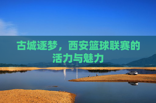 古城逐梦,西安篮球联赛的活力与魅力