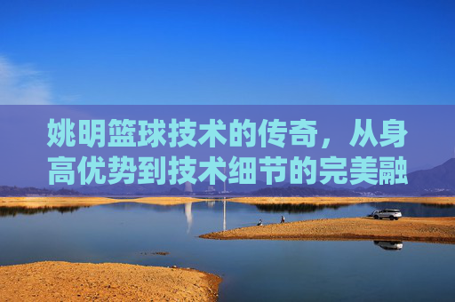 姚明篮球技术的传奇，从身高优势到技术细节的完美融合