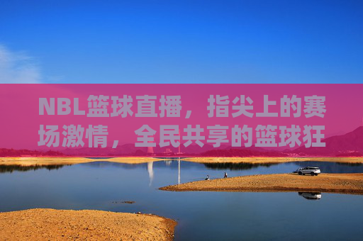 NBL篮球直播，指尖上的赛场激情，全民共享的篮球狂欢，NBL篮球直播，指尖赛场激情，全民共享篮球狂欢