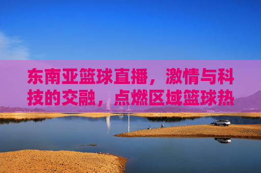 东南亚篮球直播,激情与科技的交融,点燃区域篮球热