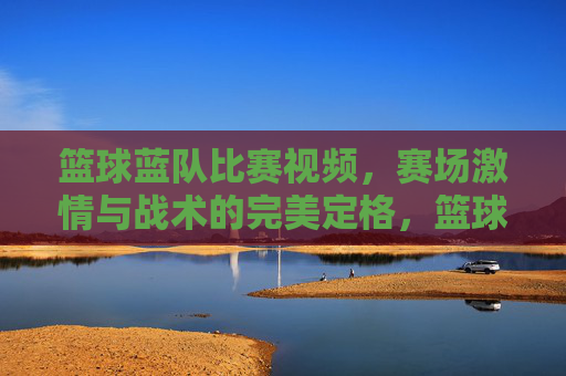 篮球蓝队比赛视频,赛场激情与战术的完美定格,篮球蓝队比赛视频,赛场激情与战术的完美定格