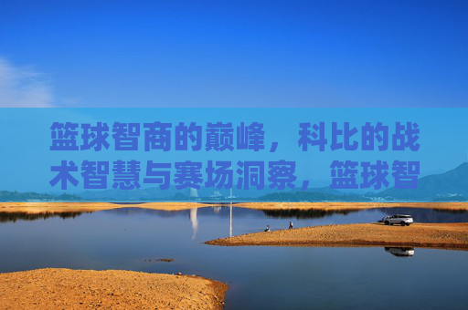 篮球智商的巅峰，科比的战术智慧与赛场洞察，篮球智商的巅峰，科比的战术智慧与赛场洞察