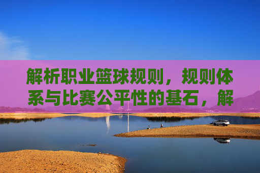 解析职业篮球规则，规则体系与比赛公平性的基石，解析职业篮球规则，规则体系与比赛公平性的基石