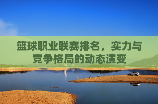 篮球职业联赛排名，实力与竞争格局的动态演变