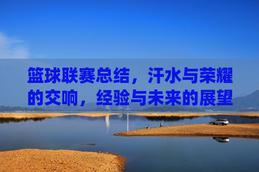 篮球联赛总结，汗水与荣耀的交响，经验与未来的展望——[球队名称]赛事回顾与反思，篮球联赛总结，汗水与荣耀的交响，经验与未来的展望——[球队名称]赛事回顾与反思