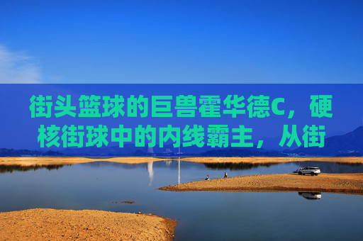 街头篮球的巨兽霍华德C，硬核街球中的内线霸主，从街边球场到篮球殿堂的硬核征途，街头篮球巨兽霍华德C，内线霸主从街边球场到篮球殿堂的硬核征途