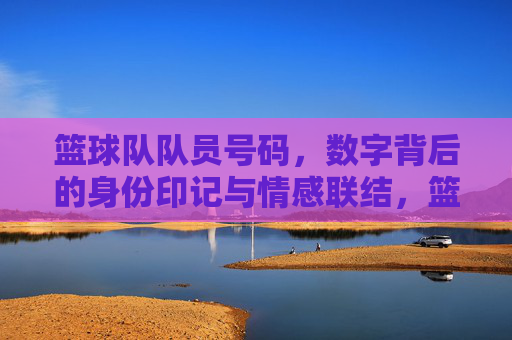 篮球队队员号码,数字背后的身份印记与情感联结,篮球队队员号码,数字背后的身份印记与情感联结