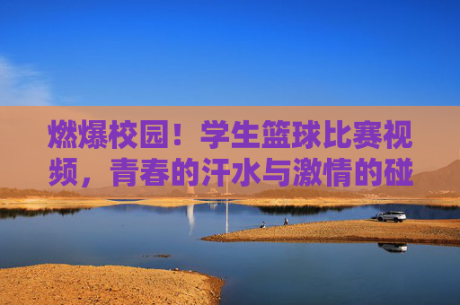 燃爆校园！学生篮球比赛视频，青春的汗水与激情的碰撞，燃爆校园！学生篮球比赛视频，青春的汗水与激情的碰撞