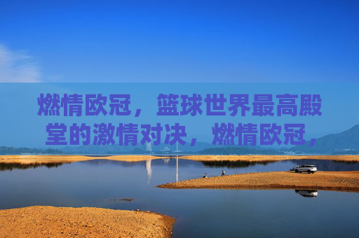 燃情欧冠，篮球世界最高殿堂的激情对决，燃情欧冠，篮球世界最高殿堂的激情对决