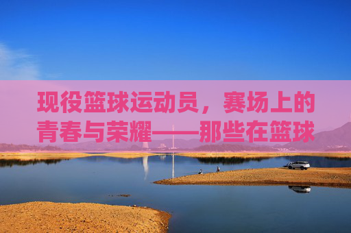 现役篮球运动员,赛场上的青春与荣耀——那些在篮球场上挥洒汗水的奋斗者,现役篮球运动员,赛场上的青春与荣耀——那些在篮球场上挥洒汗水的奋斗者