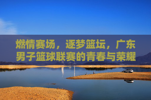 燃情赛场，逐梦篮坛，广东男子篮球联赛的青春与荣耀，燃情赛场，逐梦篮坛，广东男子篮球联赛的青春与荣耀