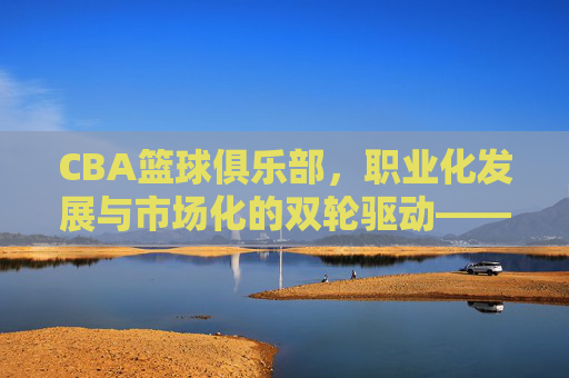 CBA篮球俱乐部，职业化发展与市场化的双轮驱动——中国篮球职业联赛的崛起与未来图景，CBA篮球俱乐部，职业化发展与市场化的双轮驱动——中国篮球职业联赛的崛起与未来图景