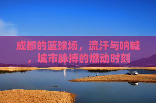 成都的篮球场，流汗与呐喊，城市脉搏的燃动时刻