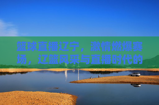 篮球直播辽宁，激情燃爆赛场，辽篮风采与直播时代的完美邂逅，篮球直播辽宁，激情燃爆赛场，辽篮风采与直播时代的完美邂逅