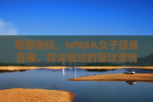 燃爆赛场，WNBA女子篮球直播，指尖触达的篮球激情与巾帼荣光，燃爆赛场，WNBA女子篮球直播，指尖触达的篮球激情与巾帼荣光