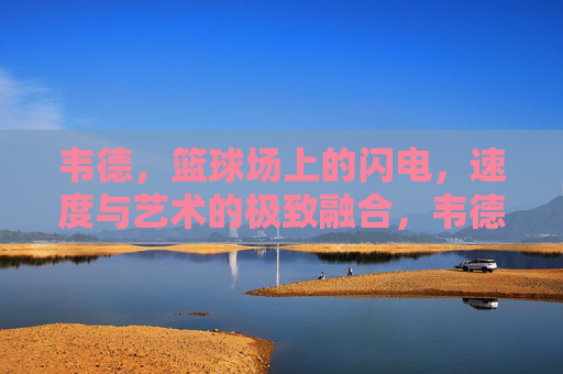 韦德,篮球场上的闪电,速度与艺术的极致融合,韦德,篮球场上的闪电,速度与艺术的极致融合