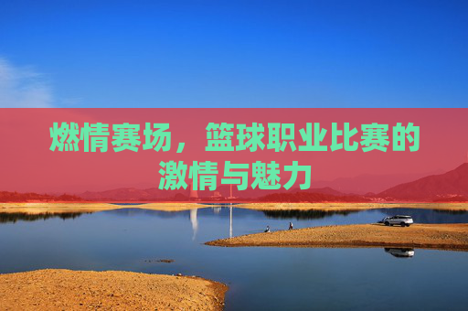 燃情赛场,篮球职业比赛的激情与魅力