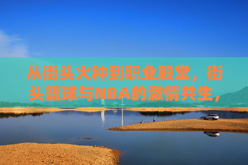 从街头火种到职业殿堂，街头篮球与NBA的激情共生，从街头火种到职业殿堂，街头篮球与NBA的激情共生