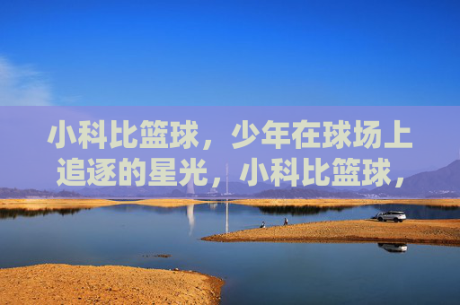 小科比篮球，少年在球场上追逐的星光，小科比篮球，少年在球场上追逐的星光