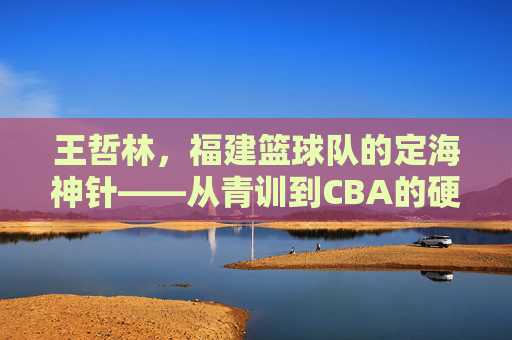王哲林，福建篮球队的定海神针——从青训到CBA的硬核成长之路，王哲林，福建篮球队定海神针，从青训到CBA的硬核成长之路