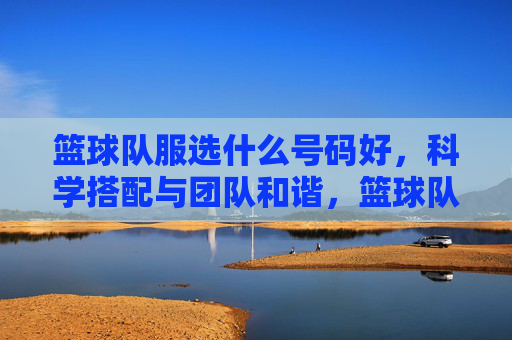 篮球队服选什么号码好,科学搭配与团队和谐,篮球队服号码选择,科学搭配与团队和谐