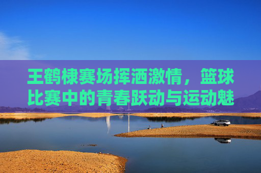 王鹤棣赛场挥洒激情,篮球比赛中的青春跃动与运动魅力,王鹤棣赛场挥洒激情,篮球比赛中的青春跃动与运动魅力
