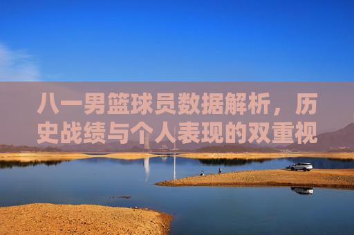 八一男篮球员数据解析,历史战绩与个人表现的双重视角,八一男篮球员数据解析,历史战绩与个人表现的双重视角