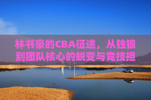 林书豪的CBA征途，从独狼到团队核心的蜕变与竞技担当，林书豪的CBA征途，从独狼到团队核心的蜕变与竞技担当